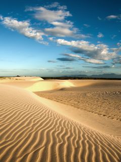 Desert